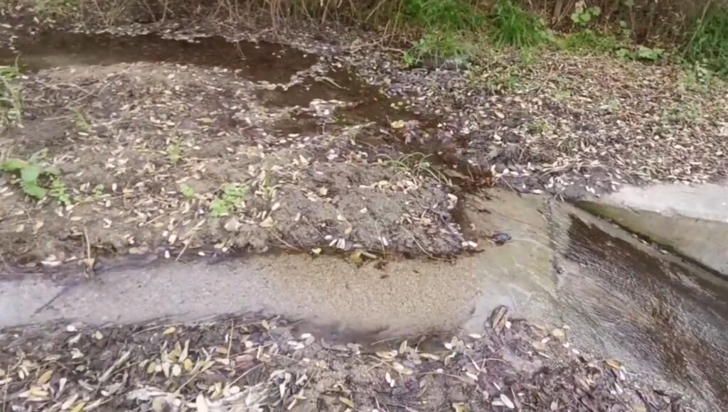 AnàlisiNo li digui fuita als milions de litres que perd la riera del Canyet