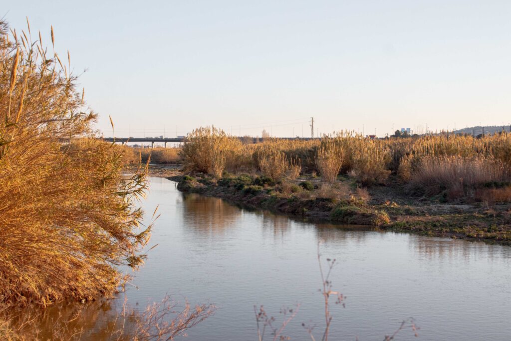 AnàlisiEl Llobregat es consolida com el gran espai verd de proximitat